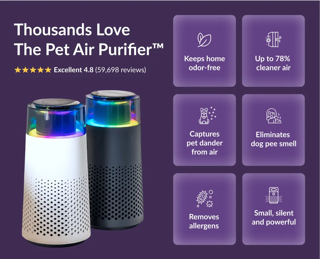 Pet Air Purifier