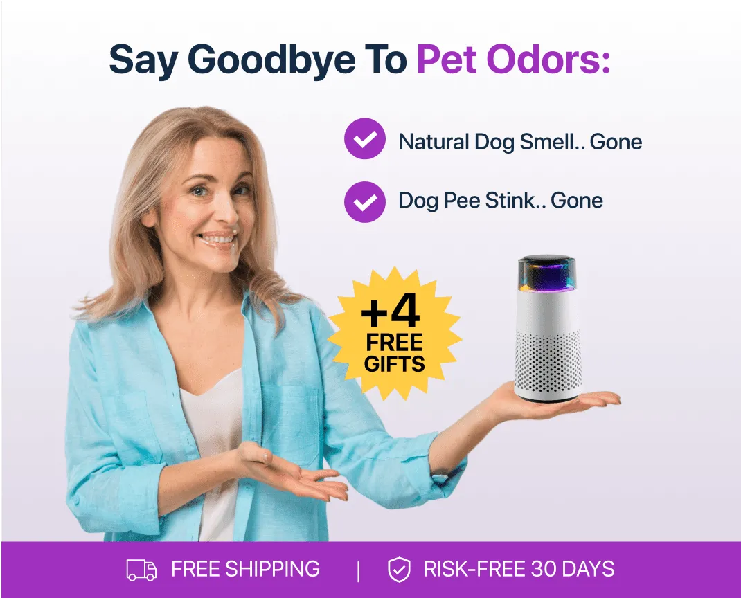 Pet Air Purifier